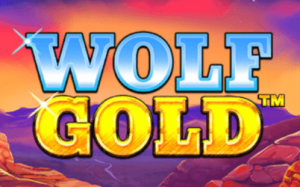 nine win slots